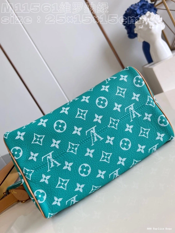 Aaa replica ru SPEEDY 25 Vuitton Louis 0709